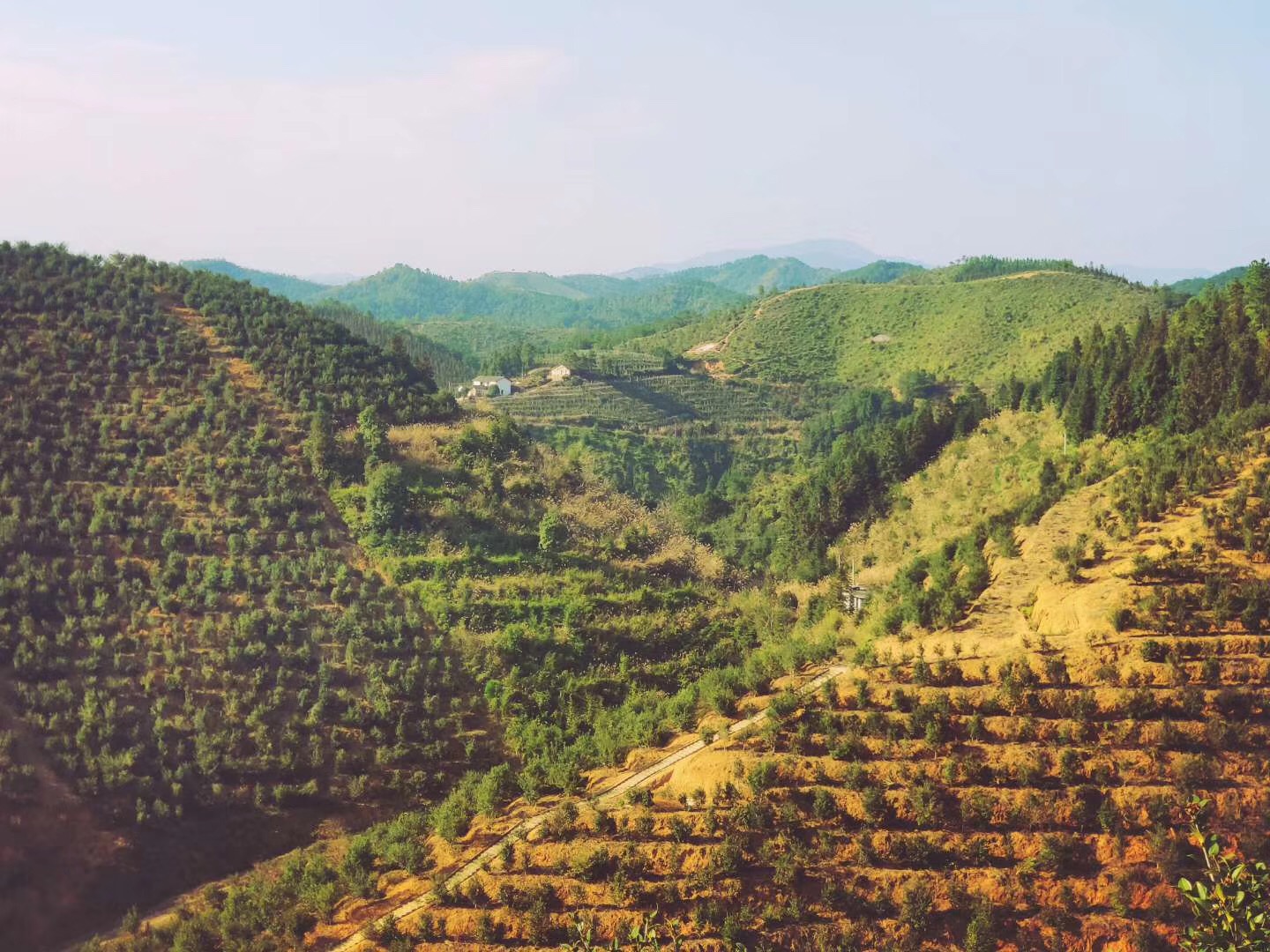 1551942310972336.jpg 微信圖片_201903071459031.jpg