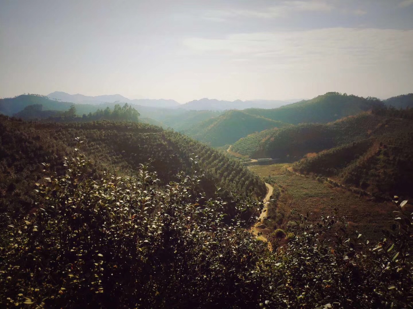 1551942344402174.jpg 微信圖片_201903071459032.jpg